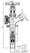 Πολλαπλές στροφές Αντιψυκτικό Σίλκοκ Solder Ends Valve Brass